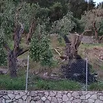 Christos